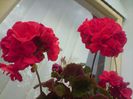 DSC00066