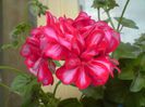 DSC00068