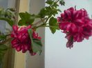 DSC00069