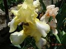 DSC03804