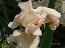 DSC03802