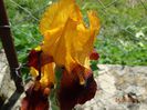 DSC03791