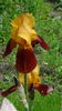 DSC01180