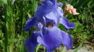 DSC01216