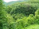DSCN9732