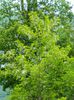 DSCN9734