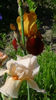 DSC01330