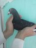 CAM01504