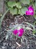 20140529_173840