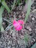 20140529_173847