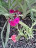 20140529_173857