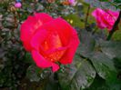 IMG_20140530_105913