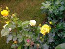 IMG_20140530_105926