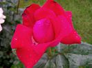 IMG_20140530_110622_1