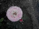 2014522080841
