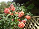 DSC00005