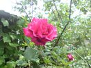 DSC00009