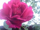 DSC00015