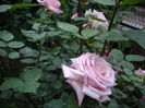 IMGP6582