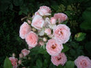 IMGP6625
