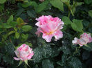 Claude Monet