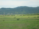 in natura 029