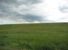 in natura 001