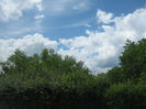 in natura 007
