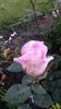 20140527_185233