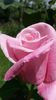20140529_122330