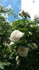 20140529_122426