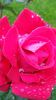 20140530_082759