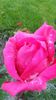 20140530_082814