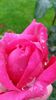 20140530_082826