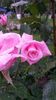 20140530_082859