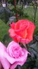 20140530_082934