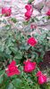 20140530_083003
