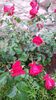 20140530_083011
