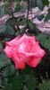20140530_083056