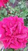 20140530_083203