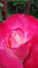 20140530_083236