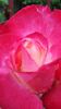 20140530_083243