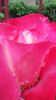 20140530_083254