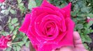 20140530_083654