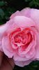 20140530_083727