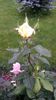 20140530_083905