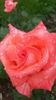 20140530_122434