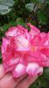 20140530_122742
