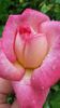 20140530_122752