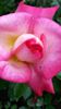 20140530_180946